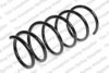 LESJ?FORS 4072972 Coil Spring